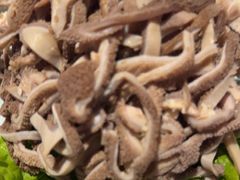 -额尔敦传统涮(公园西路店)