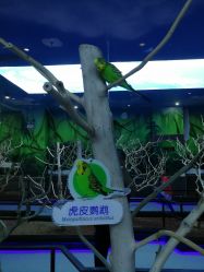 -未来动物城动物主题公园(大悦城店)