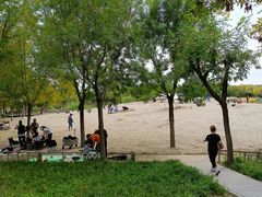-东郊湿地公园