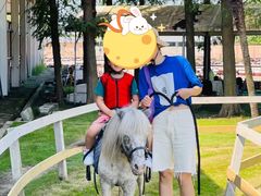 -太阳岛度假酒店