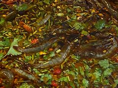 -车头老二大排档(金城步行街店)