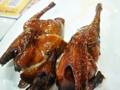 -领鲜现切猪杂火锅(番禺桥南店)