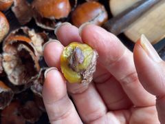 -栗满秋(燕丰西坝河店)