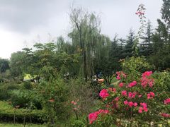 -铁山坪森林公园