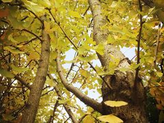 -长沙大成国际大酒店