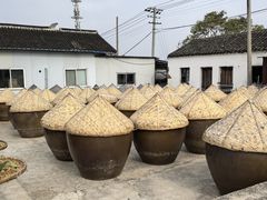 -苏州市吴中区光福窑上花果蜜饯厂