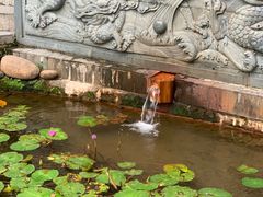 -深圳龙潭公园