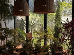 -自由生长植物工作室(深港花卉中心店)
