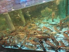 -国惠大酒楼(仓山万达店)
