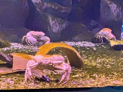 -珠海长隆海洋王国