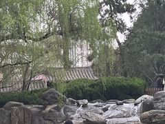 -西安青龙寺遗址景区