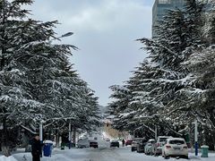 -ChanDu躔度咖啡(灯塔店)