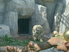 -青藏高原野生动物园