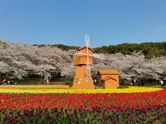 -苏州上方山国家森林公园