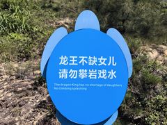 -广东惠东海龟国家级自然保护区