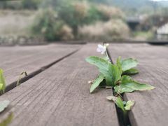 -东钱湖旅游度假区