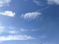 -武汉两江游览·夜游长江(汉口粤汉码头)