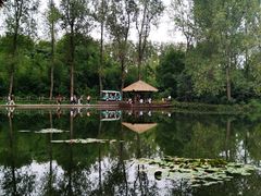 -溱湖国家湿地公园