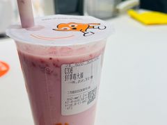 -岭南站NOVA
