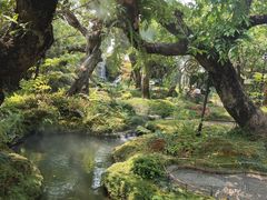野莓气泡水-Chom Cafe and Restaurant