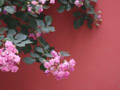 -北京石刻艺术博物馆(五塔寺)