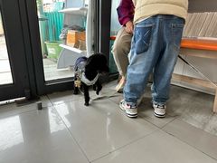 -爱侣宠医·鹦鹉专科·小型哺乳类·异宠专科(灵石路店)