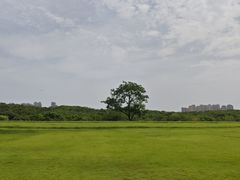 -盘龙城国家考古遗址公园