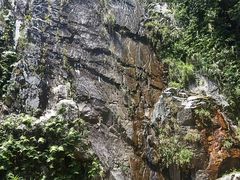 -海南霸王岭国家森林公园
