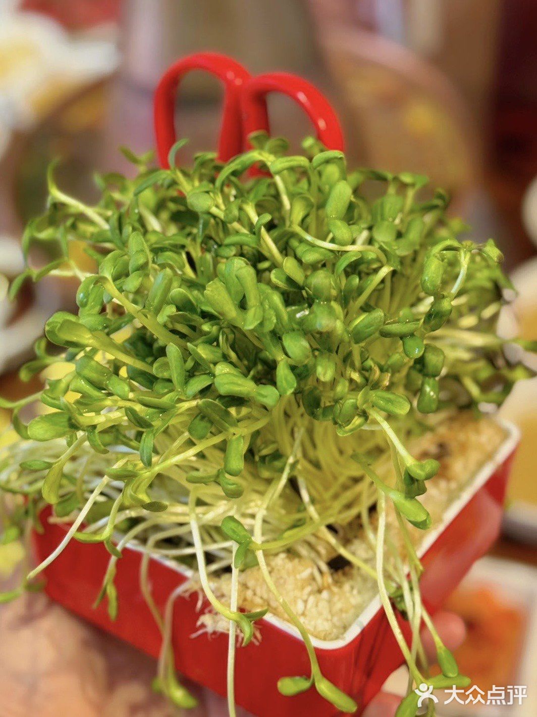 来北京必吃‼️这家铜锅涮肉藏着最地道的京味儿！