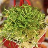 来北京必吃‼️这家铜锅涮肉藏着最地道的京味儿！