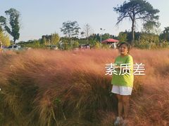 -金孔雀温泉旅游度假村