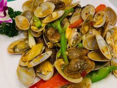 海盐花甲-四海之家(蛇口店)