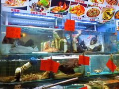 -40号厦门海鲜大排档(中山路店)