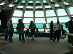 -西雅图水族馆