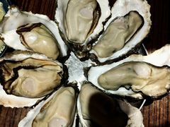 高压锅竹笼蚝王-蚝堡海鲜·威海菜·海肠捞饭·烧烤·亚洲吃蚝公司(幸福门店)