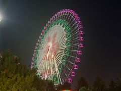-万泉公园