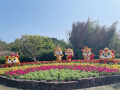 -广州莲花山旅游区
