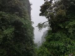 -峨眉山报国寺