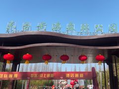 -黄海国家森林公园