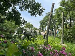 -石家庄市植物园