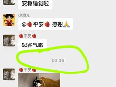 -北京派仕佳德动物医院·超导核磁·CT·神经科·骨科·内外科·急重症管理中心