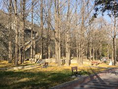 -阳台山自然风景区