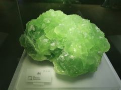 -湖南省地质博物馆