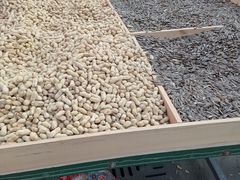 -何庄子阿米玛玛农产品批发市场