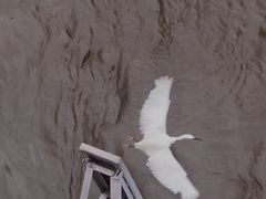 -珠江夜游西堤码头