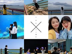 -广东惠东海龟国家级自然保护区