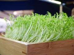 -椰子营·椰子鸡火锅(万象里店)