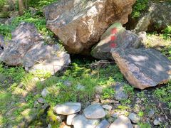 -大连天门山国家森林公园