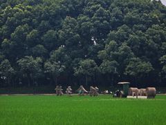 -乌村
