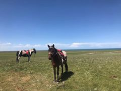 -青海湖国家重点风景名胜区